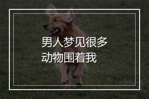 男人梦见很多动物围着我