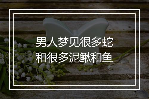 男人梦见很多蛇和很多泥鳅和鱼