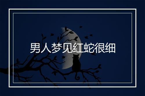 男人梦见红蛇很细