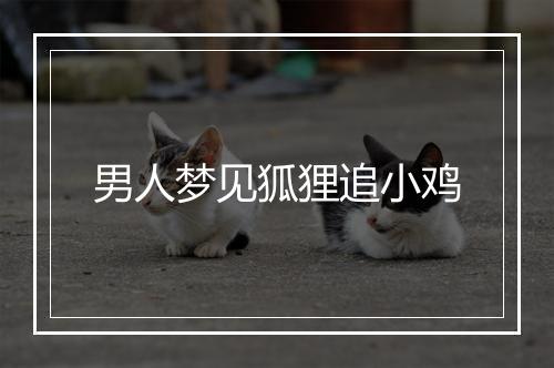 男人梦见狐狸追小鸡