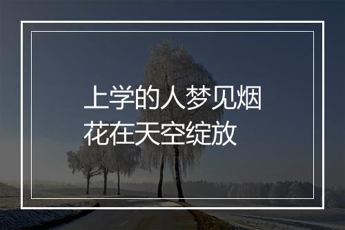 上学的人梦见烟花在天空绽放