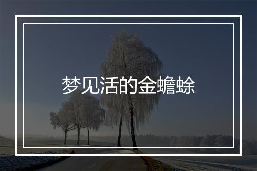 梦见活的金蟾蜍