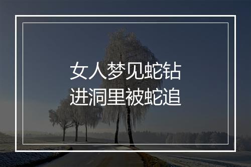 女人梦见蛇钻进洞里被蛇追