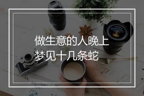 做生意的人晚上梦见十几条蛇