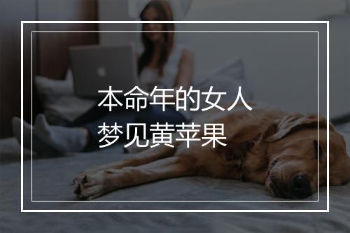 本命年的女人梦见黄苹果