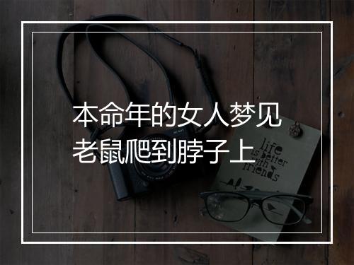 本命年的女人梦见老鼠爬到脖子上