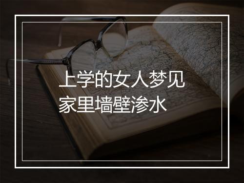 上学的女人梦见家里墙壁渗水