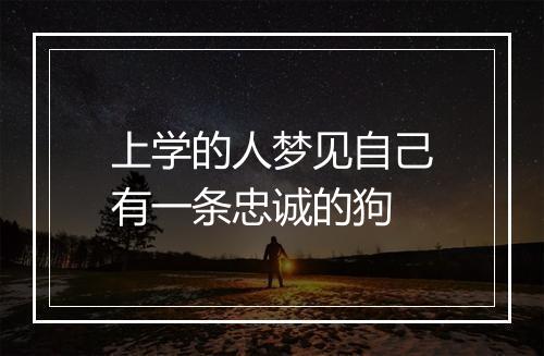 上学的人梦见自己有一条忠诚的狗