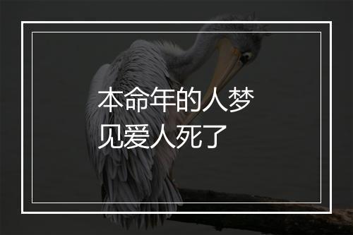 本命年的人梦见爱人死了