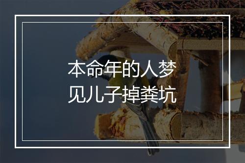 本命年的人梦见儿子掉粪坑