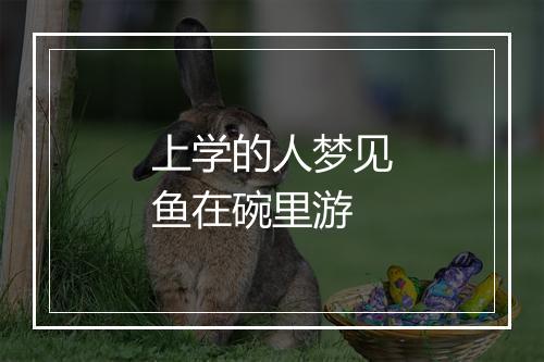 上学的人梦见鱼在碗里游