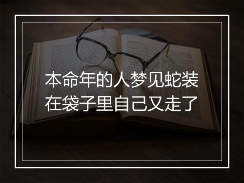 本命年的人梦见蛇装在袋子里自己又走了