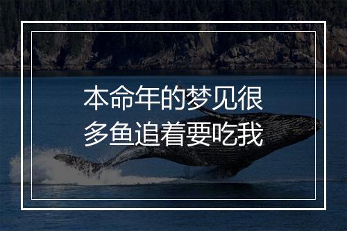 本命年的梦见很多鱼追着要吃我