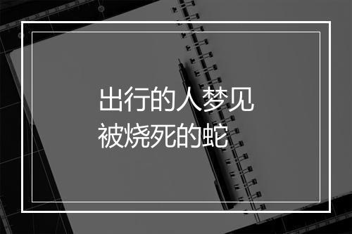 出行的人梦见被烧死的蛇