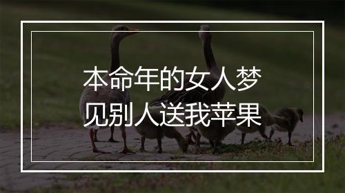 本命年的女人梦见别人送我苹果