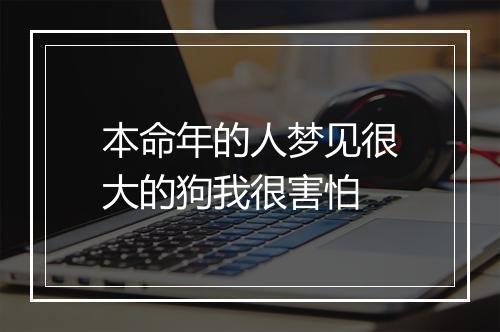 本命年的人梦见很大的狗我很害怕