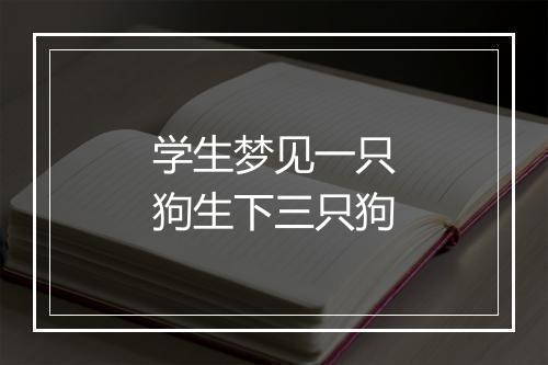 学生梦见一只狗生下三只狗