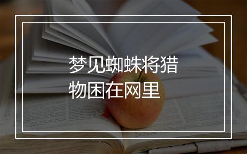 梦见蜘蛛将猎物困在网里