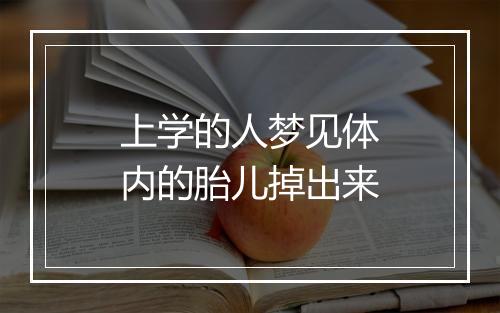 上学的人梦见体内的胎儿掉出来