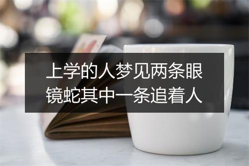 上学的人梦见两条眼镜蛇其中一条追着人