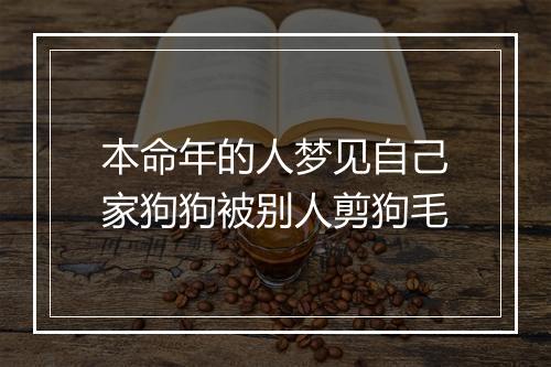 本命年的人梦见自己家狗狗被别人剪狗毛