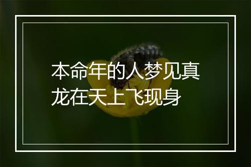 本命年的人梦见真龙在天上飞现身