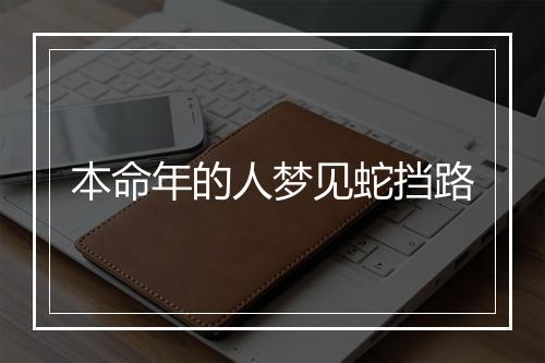 本命年的人梦见蛇挡路