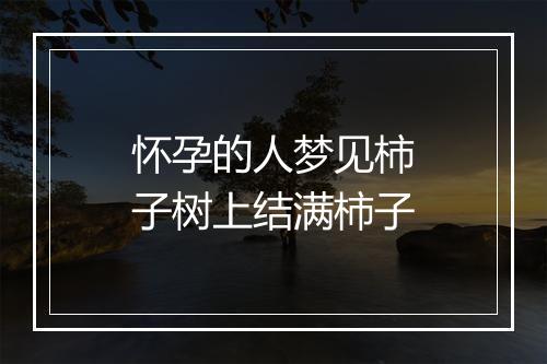 怀孕的人梦见柿子树上结满柿子