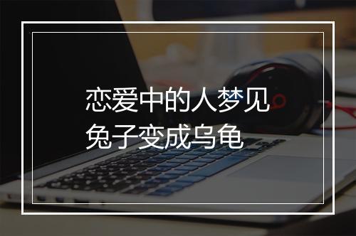 恋爱中的人梦见兔子变成乌龟