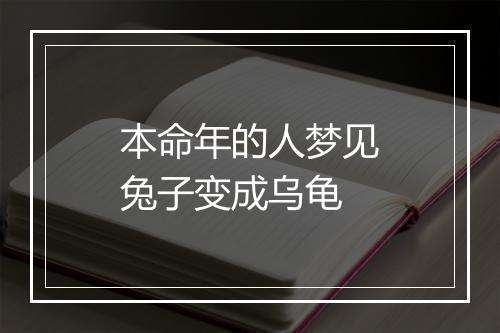 本命年的人梦见兔子变成乌龟