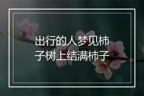 出行的人梦见柿子树上结满柿子