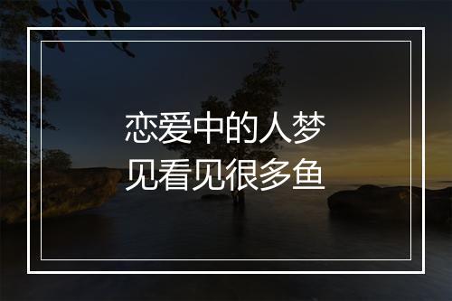 恋爱中的人梦见看见很多鱼