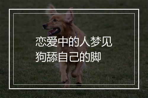 恋爱中的人梦见狗舔自己的脚