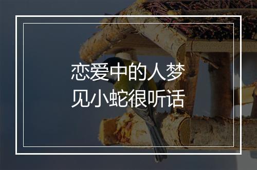 恋爱中的人梦见小蛇很听话