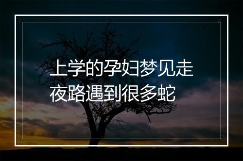 上学的孕妇梦见走夜路遇到很多蛇