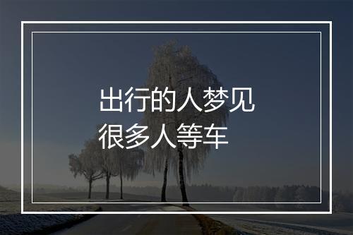 出行的人梦见很多人等车