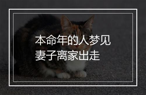 本命年的人梦见妻子离家出走