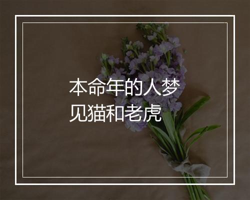 本命年的人梦见猫和老虎