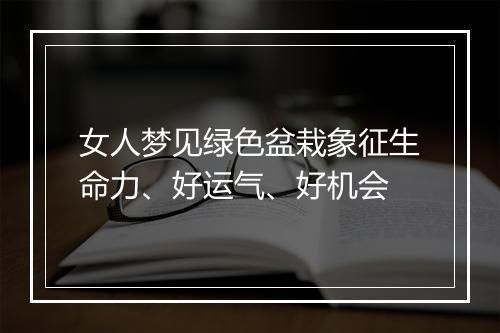 女人梦见绿色盆栽象征生命力、好运气、好机会