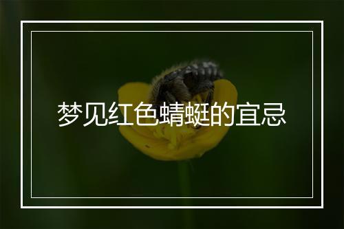 梦见红色蜻蜓的宜忌