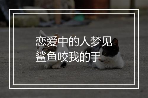 恋爱中的人梦见鲨鱼咬我的手