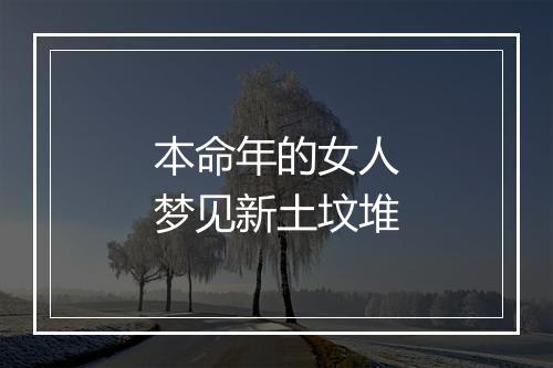 本命年的女人梦见新土坟堆