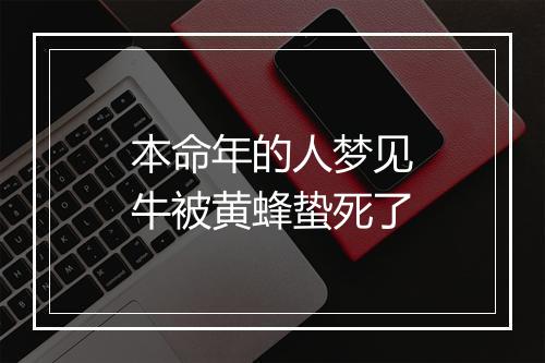 本命年的人梦见牛被黄蜂蛰死了