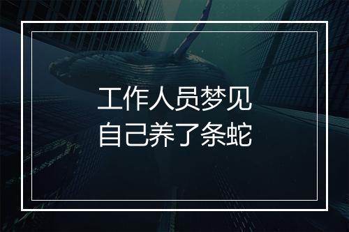 工作人员梦见自己养了条蛇