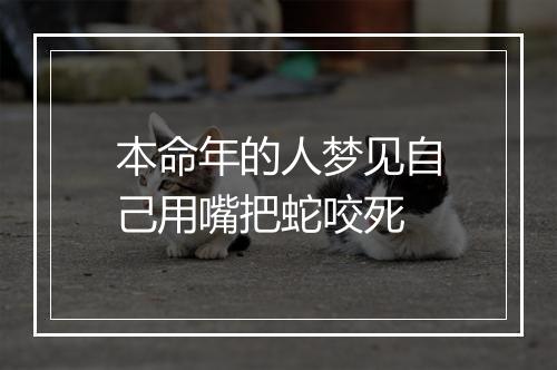 本命年的人梦见自己用嘴把蛇咬死