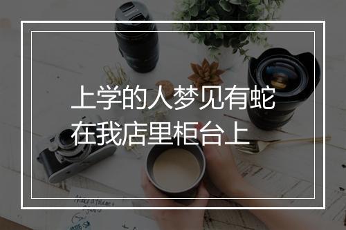 上学的人梦见有蛇在我店里柜台上