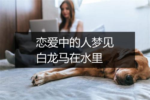 恋爱中的人梦见白龙马在水里