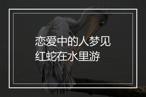 恋爱中的人梦见红蛇在水里游