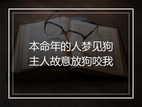 本命年的人梦见狗主人故意放狗咬我