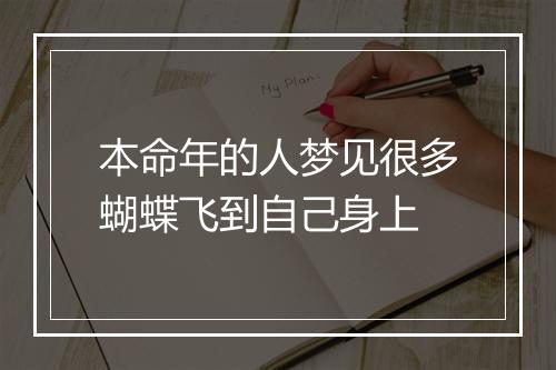 本命年的人梦见很多蝴蝶飞到自己身上